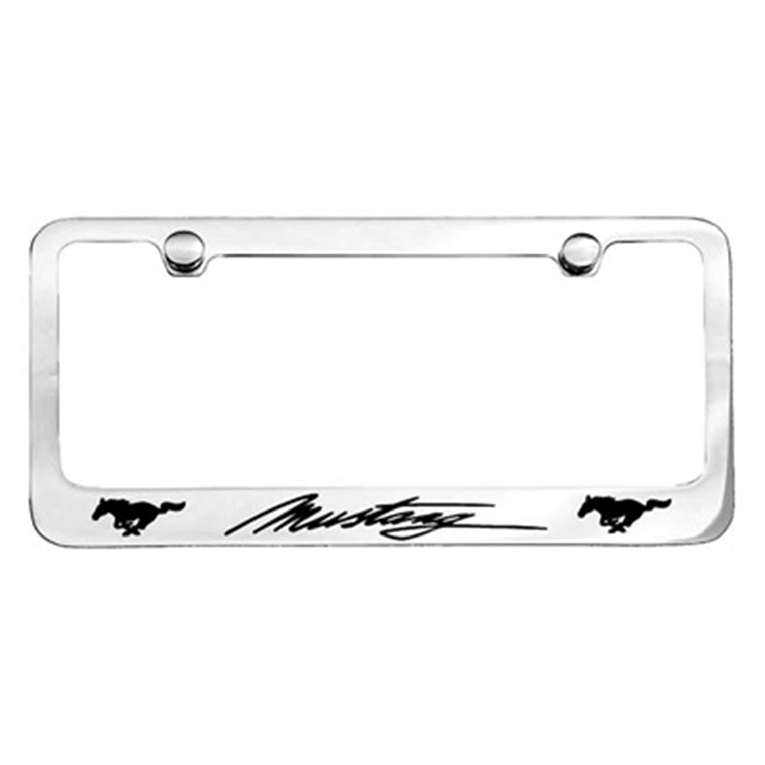 License Plate Frame