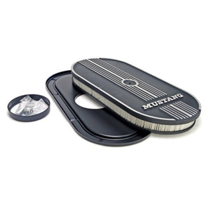 Air Cleaner Assembly
