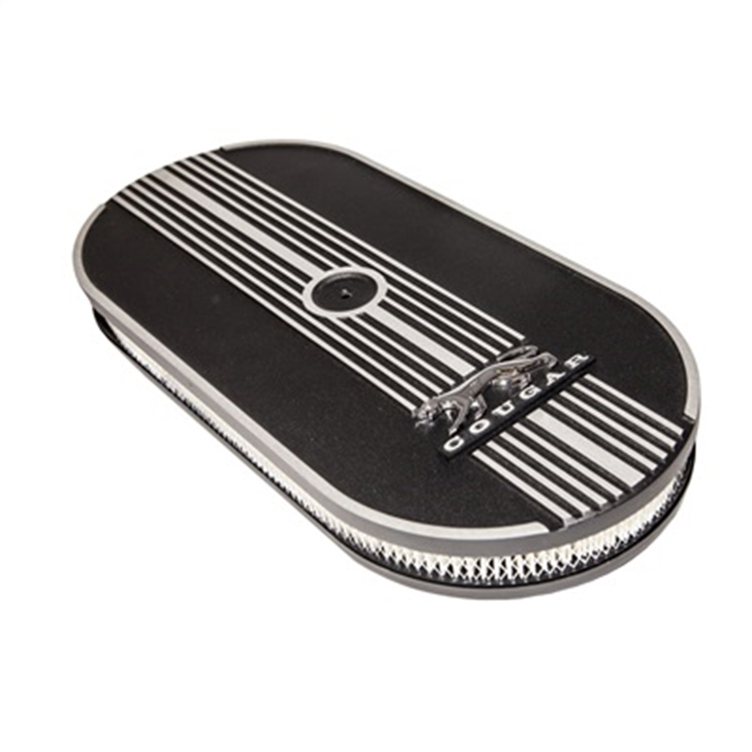 Air Cleaner Assembly