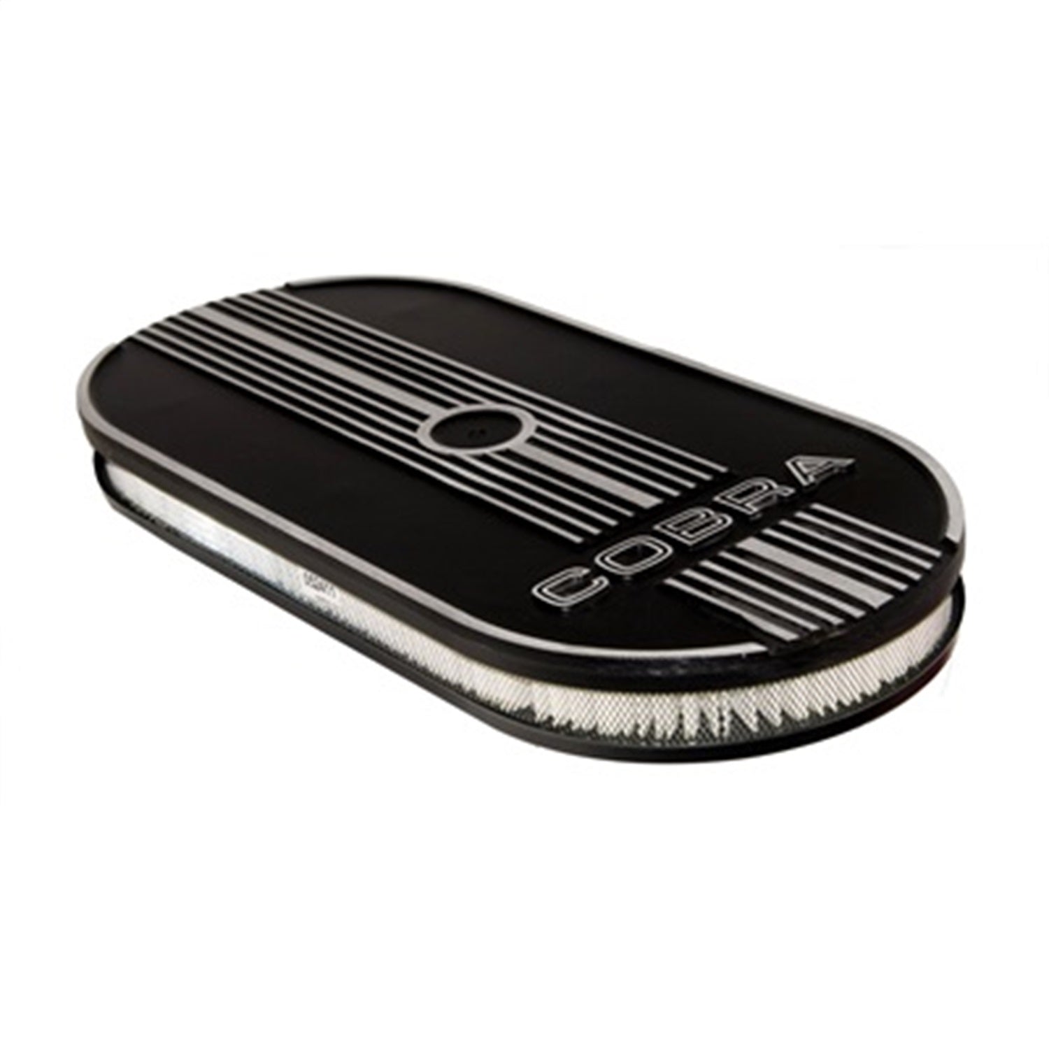 Air Cleaner Assembly